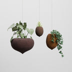 Acornest Pot (L) Hanging
