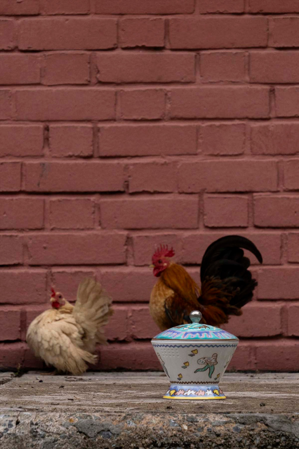 Hunter Gatherer: The Porcelain & Collection | Ripple Root x Kihara Porcelain
