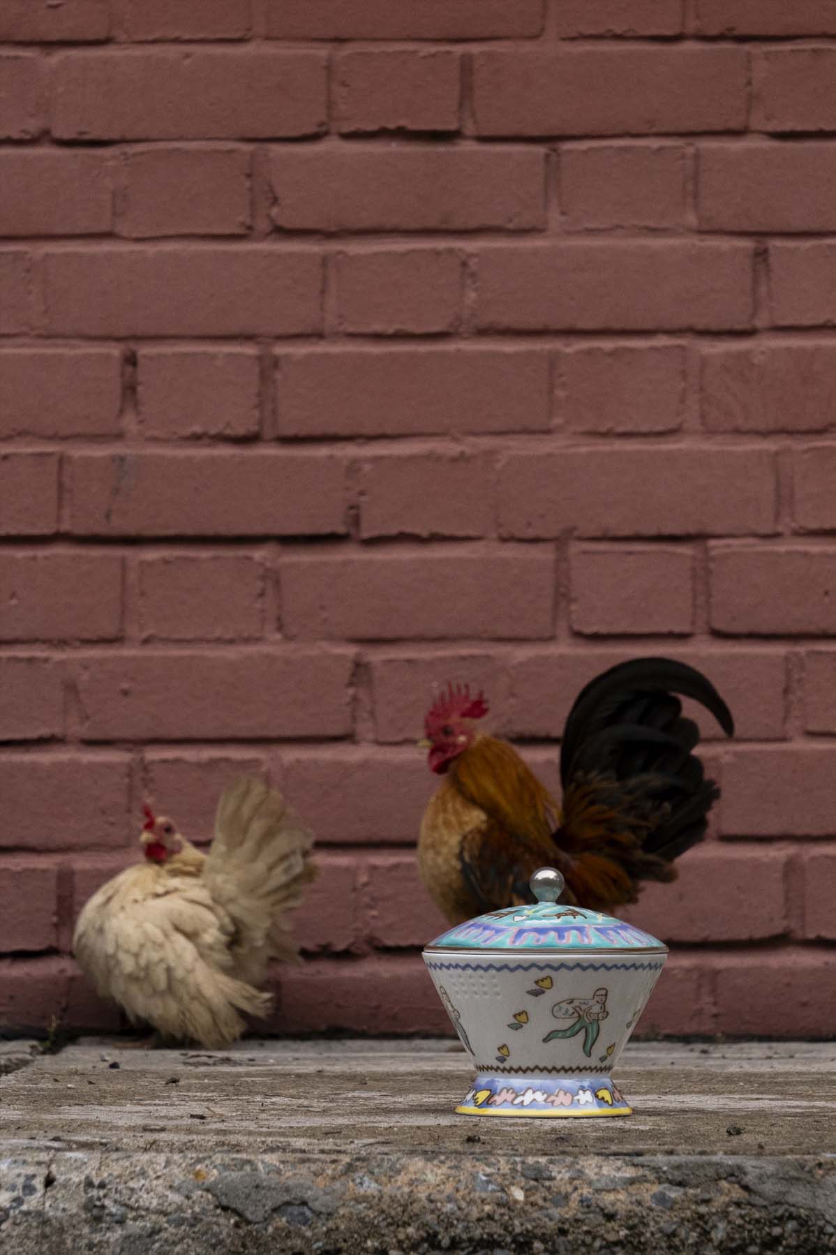 Hunter Gatherer: The Porcelain & Collection | Ripple Root x Kihara Porcelain